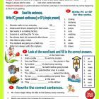 Present Simple & Present Continuous.jpg